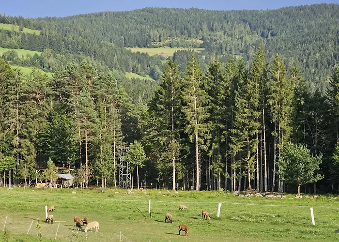 Albeck Apartament Spitzwiesen